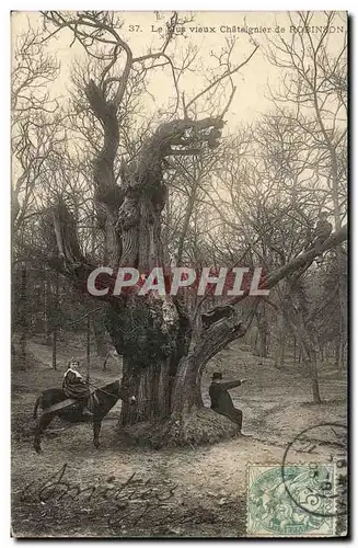 Cartes postales Le Plus vieux Chataignier de Robinson Enfant Ane