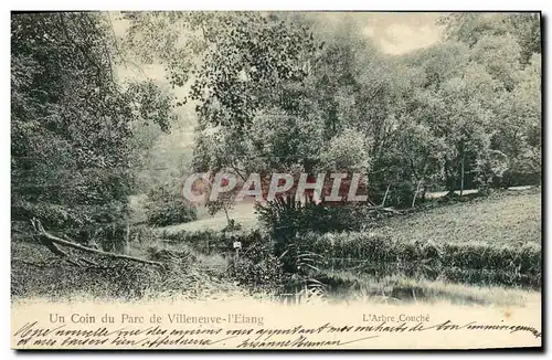 Ansichtskarte AK Un Coin du Parc de Villeneuve l Etang L Arbre Couche