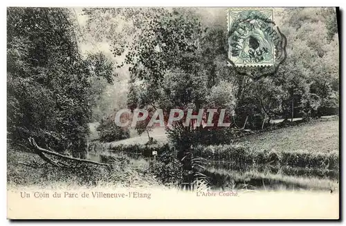Cartes postales Un Coin du Parc de Villeneuve L Etang L Arbre Couche