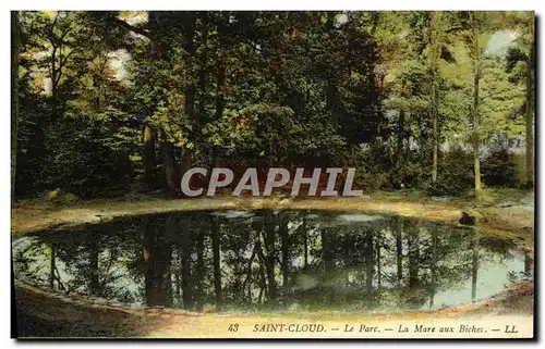 Cartes postales Parc de Saint Cloud Le Parc La Mare Aux Biches