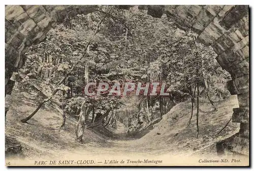 Cartes postales Parc De Saint Cloud L Allee de Tranche Montagne