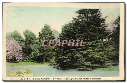 Cartes postales Parc de Saint Cloud Cedre Plante Par Marie Antoinette