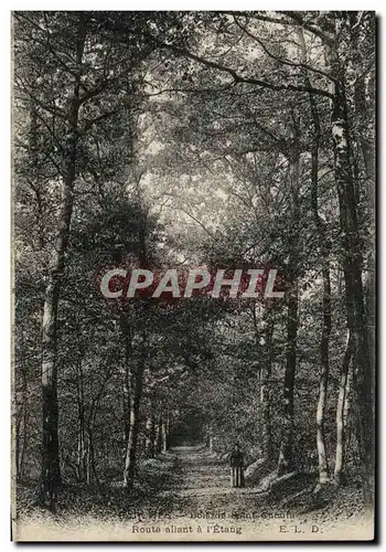 Cartes postales Garches Bois de Saint Cucufa Route allant a l etang