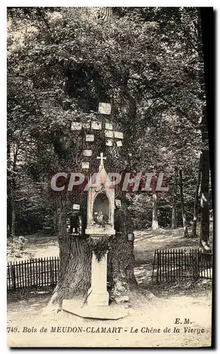 Cartes postales Bois de Meudon Clamart Le Chene de la Vierge