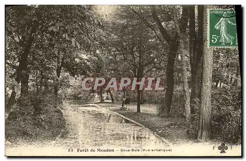 Ansichtskarte AK Foret de Meudon Sous Bois