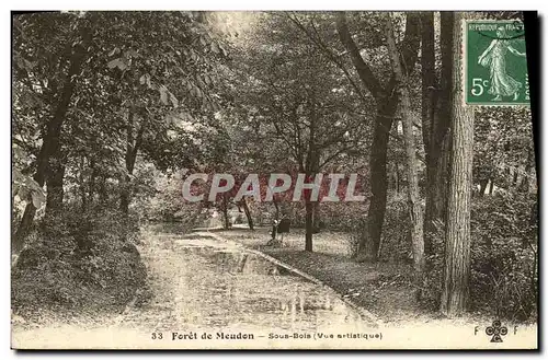 Cartes postales Foret de Meudon Sous Bois