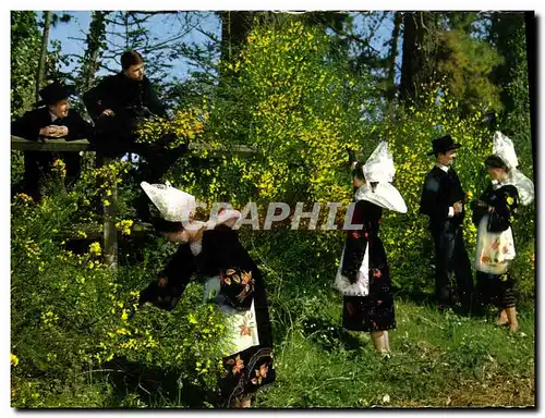 Moderne Karte Jeunes filles du ceercle celtique Ar Roued du Gals de Concarneau cueillant le genet Folklore