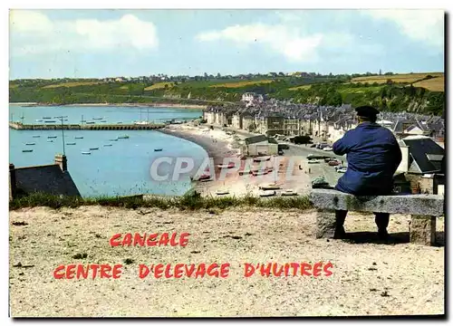 Cartes postales moderne cancale Capitale de l huitre La houle