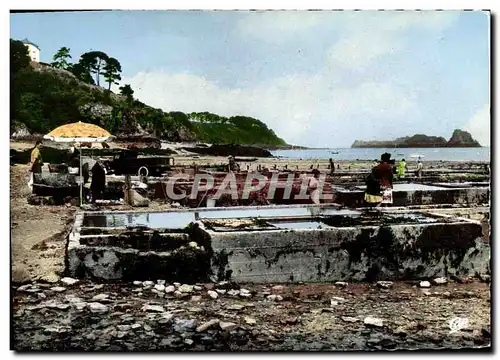 Cartes postales moderne Cancale Les Parcs a Huitres et rocher de Cancale