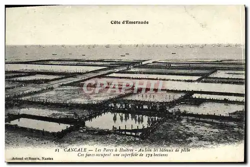 Cartes postales Cancale Les Parcs a Huitres Ostreiculture