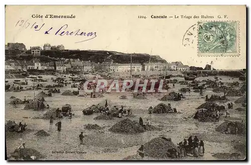 Cartes postales Cancale Le Triage des Huitres Ostreiculture