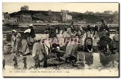 Cartes postales Cancale Travail des Huitres dans les Parcs Ostreiculture TOP