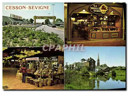 Cartes postales moderne Cesson Sevigne