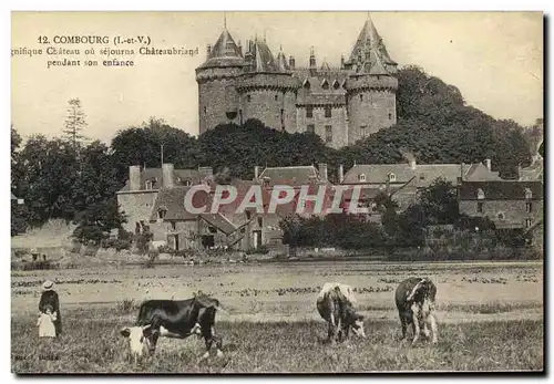 Ansichtskarte AK Combourg Chateau Etang et Vue Generale Vaches