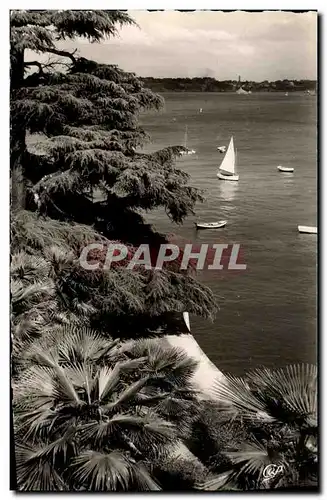 Cartes postales moderne Dinard La Promenade Du clair De Lune