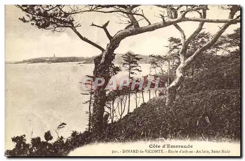 Cartes postales Dinard la Vicomte Etude d arbres Au loin St Malo