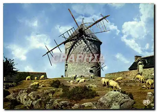 Cartes postales moderne Le Mont Dol Vieux Moulin du Tertre Moutons