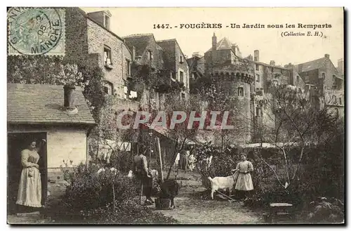 Cartes postales Fougeres Un Jardin sous les Remparts Chevre TOP