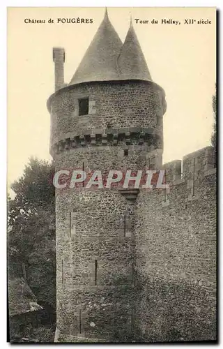 Cartes postales Chateau de Fougeres Tour du Hallay Xll e Siecle