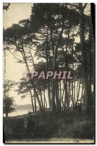 Cartes postales La Quimorais Le Bois du Lupion Vache