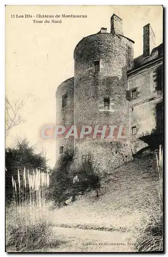 Cartes postales Les Iffs Chateau de Montmuran Tours du Nord