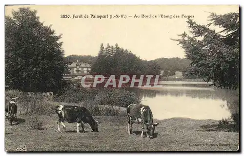 Cartes postales Paimpont Foret de Au Bord de L Etang Des Forges Vaches