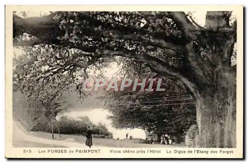 Ansichtskarte AK Paimpont Les Forges de Vieux Chene Pres l hotel La Digue de l etang des forges