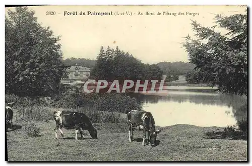 Ansichtskarte AK Paimpont Foret de au Bord de L Etang des Forges Vaches