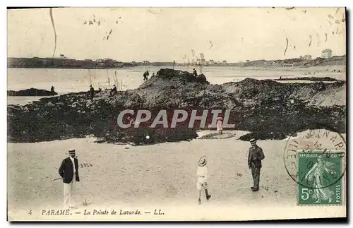 Ansichtskarte AK Parame La Pointe de Lavarde