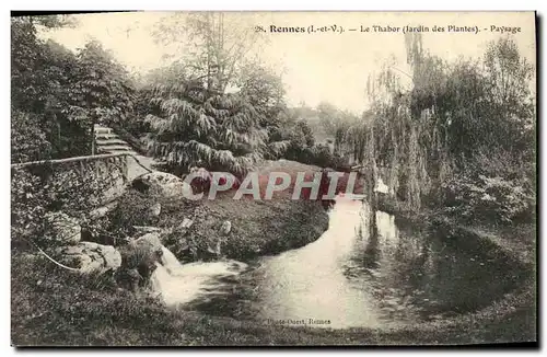 Ansichtskarte AK Rennes Le Thabor Paysage Jardin des plantes