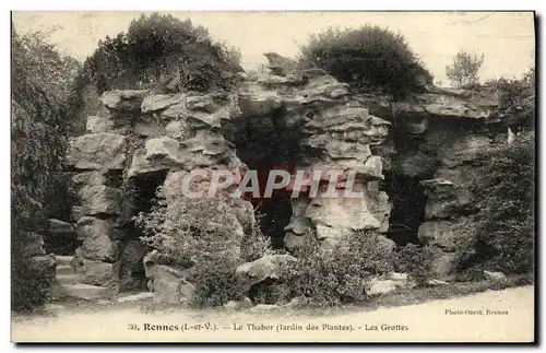 Cartes postales Rennes Le Thabor Les Grottes Jardin des plantes