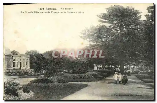 Ansichtskarte AK Rennes Au Thabor La grande allee du jardin francais et le CEdre du liban