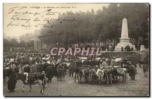 Cartes postales Rennes Le Marche Aux Bestiaux Vaches TOP