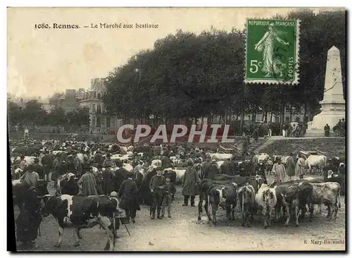 Cartes postales Rennes Le Marche Aux Bestiaux Vaches TOP