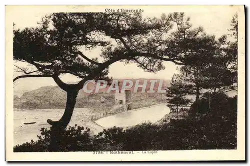 Cartes postales Rotheneuf La Lupin