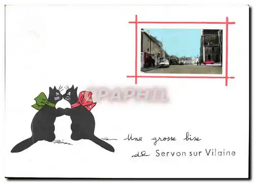 Cartes postales moderne Servon Sur Vilaine chats