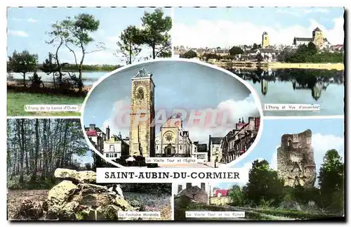 Cartes postales moderne Saint Aubin Du Cormier Etang de la lande d Ouee Fontaine minerale Vieille tour et les ruines