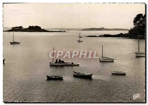 Cartes postales moderne Saint Briac L Ilet et la pointe du Nessey