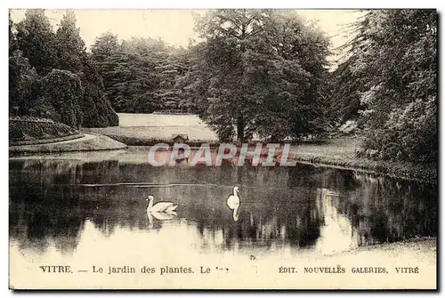 Ansichtskarte AK Vitre Le Jardin Des Plantes Cygnes