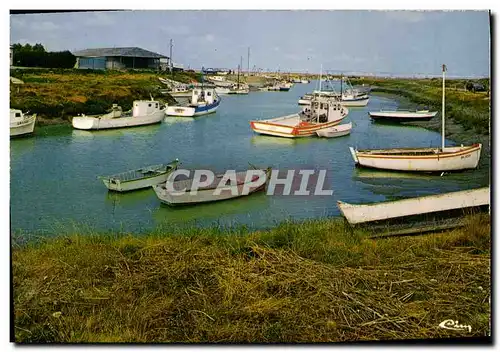 Cartes postales moderne Le Vivier sur Mer Le Port