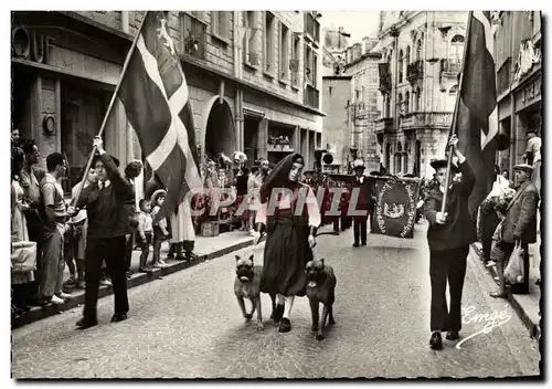 Cartes postales moderne St Malo Rue de Dinan Defile du Groupe Folklorique Quic en Groigne Chiens