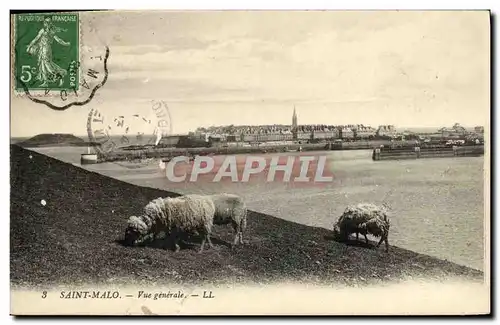 Ansichtskarte AK Saint Malo Vue generale Moutons