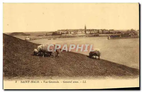 Ansichtskarte AK Saint Malo Vue Generale Moutons