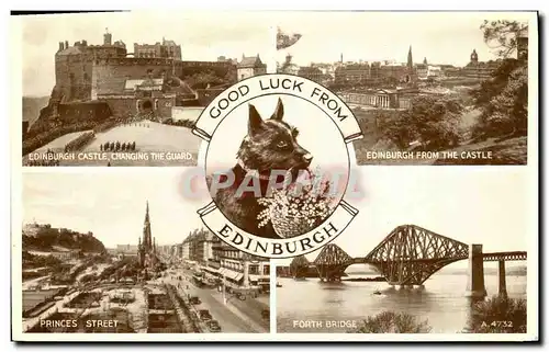 Cartes postales Edinburgh chien