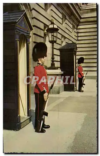 Cartes postales moderne Irish Guards on Sentry Duty at Buckingham Palace London Militaria