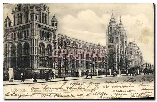 Cartes postales London Natural History Museum South Kensington