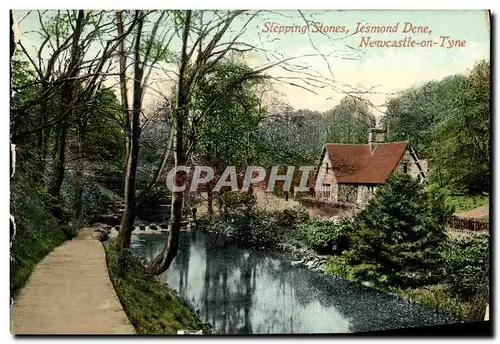 Ansichtskarte AK Stepping Stones Jesmond Dene Newcastle on Tyne