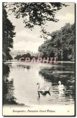 Cartes postales Longwater Hampton Court Palace Cygnes