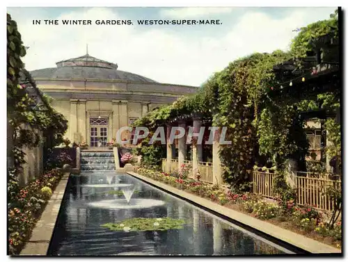 Ansichtskarte AK In the winter Gardens Weston Super Mare