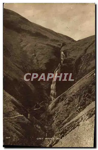 Cartes postales Grey Mares Tail